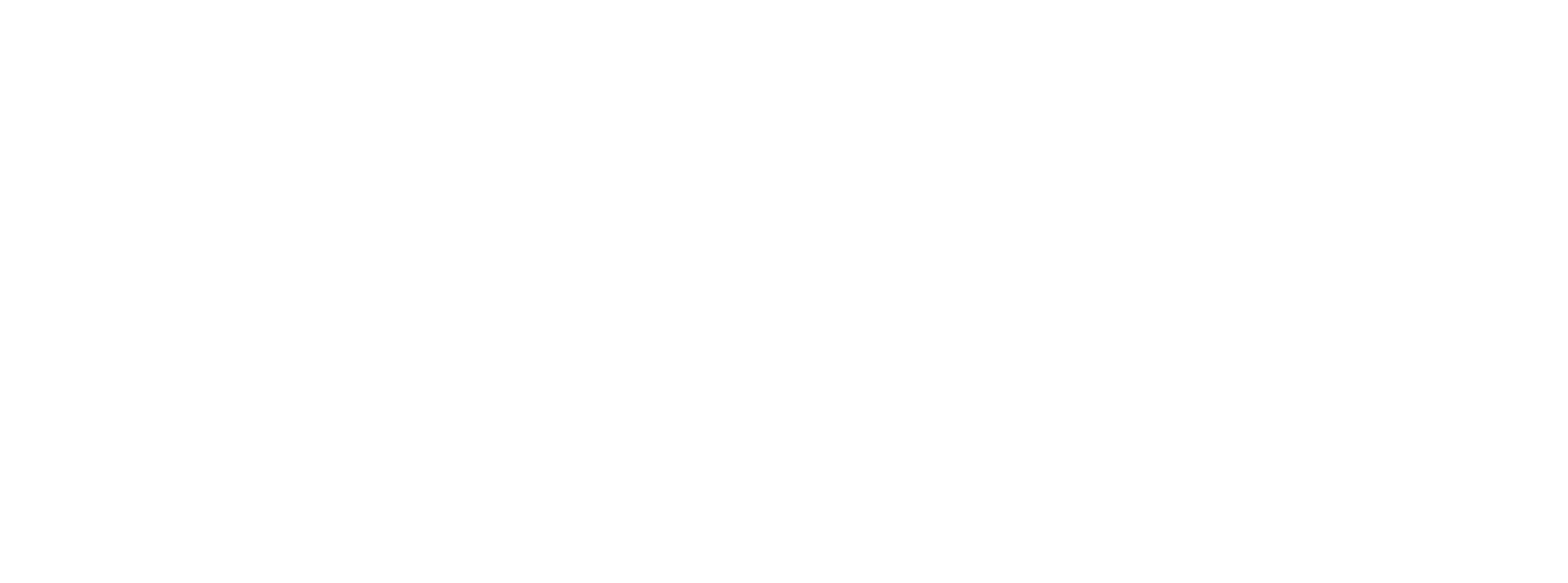 DigiHapi logo